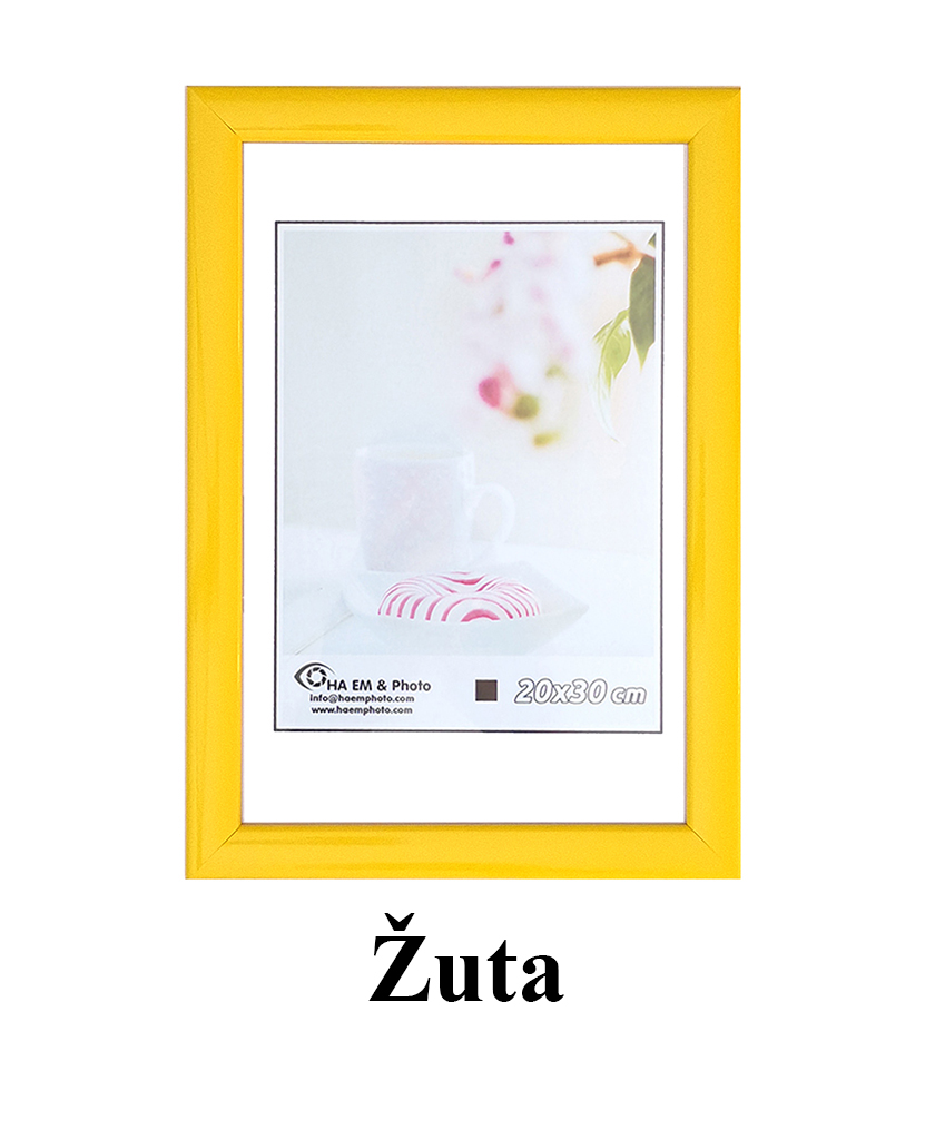 208-zuta